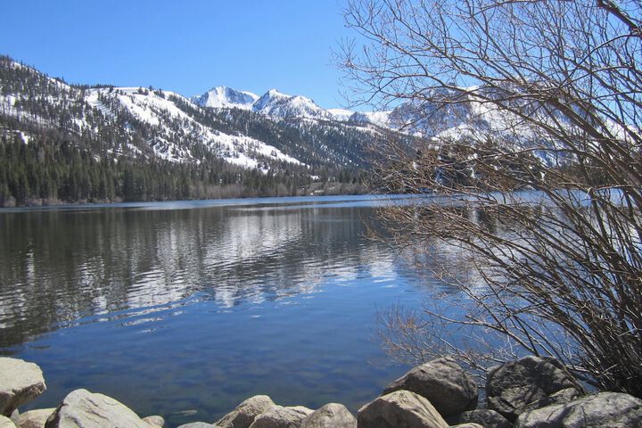 Lake Front Cabins