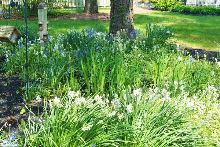 Meris Gardens Bethany