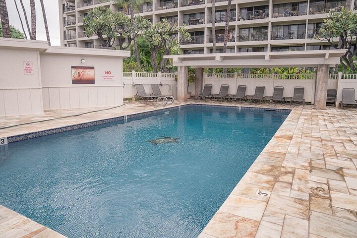 Pool 28 of 333