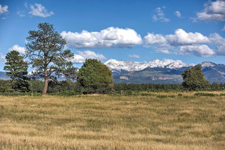 Mancos Cabin Rental on 80 Acres w / Mountain View!