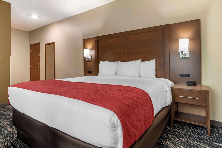 Comfort Inn & Suites Downtown near University