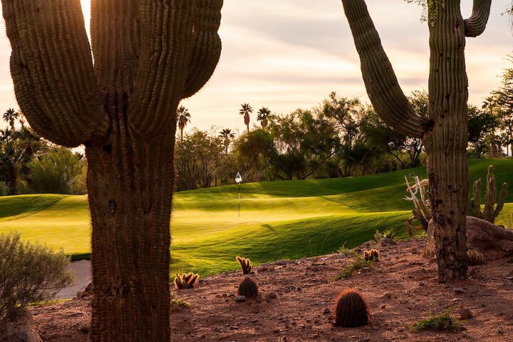 The Phoenician a Luxury Collection Resort, Scottsdale