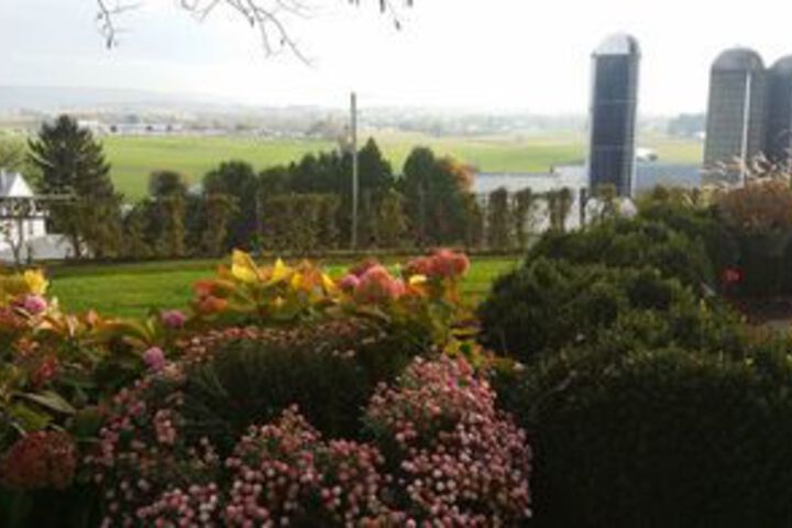 A Suite Escape Bed & Breakfast and Vacation Home