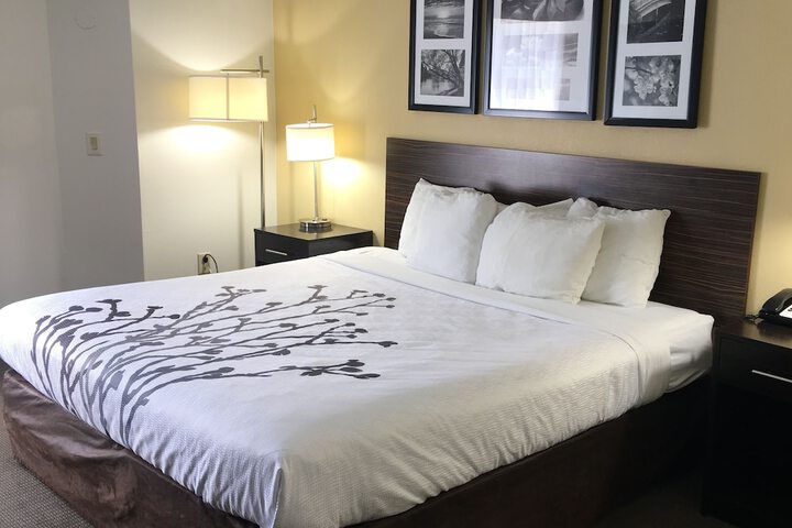 Room 33 of 65