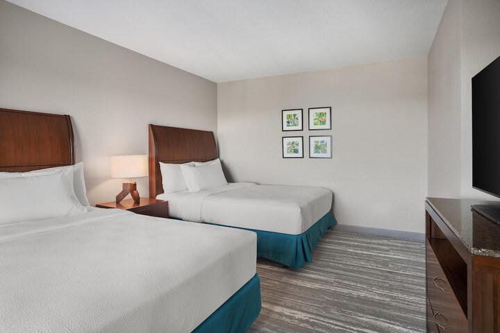 Hilton Garden Inn Tampa North Busch Gardens