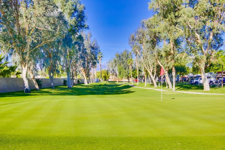 Golf 48 of 49