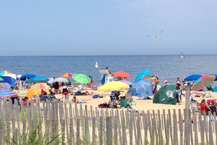 Beach 166 of 186