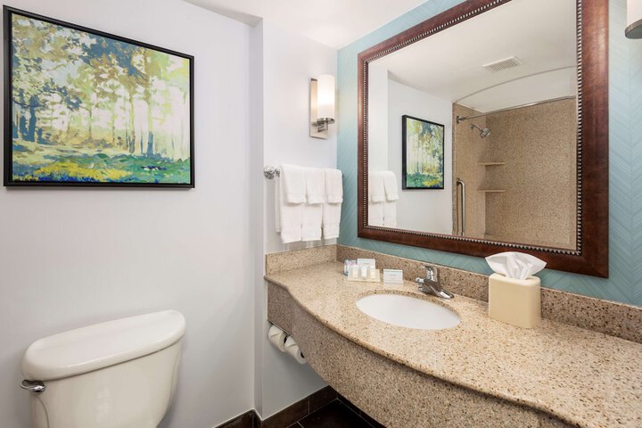 Hilton Garden Inn Lafayette / Cajundome