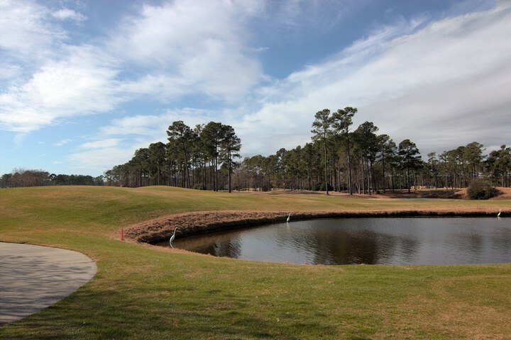 Golf 49 of 52