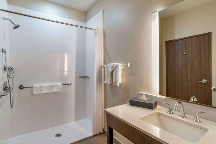 Comfort Inn & Suites Downtown near University