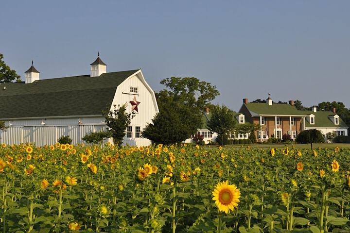 Inn at Huntingfield Creek