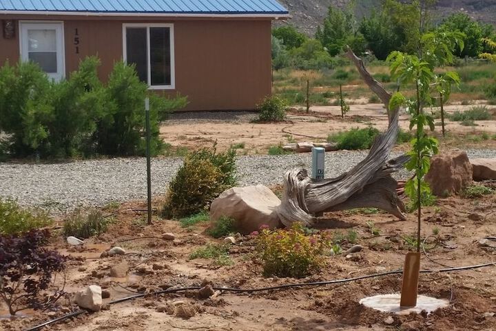 Stone Lizard Vacation Rentals