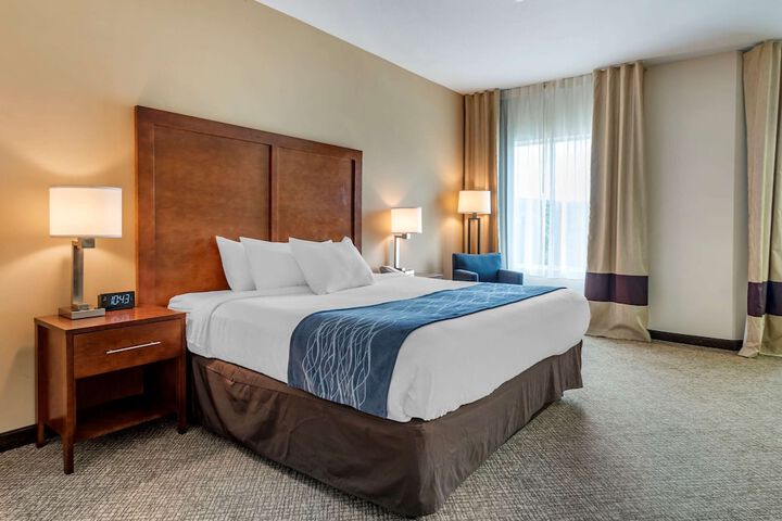 Comfort Inn Apalachin / Binghamton W Route 17