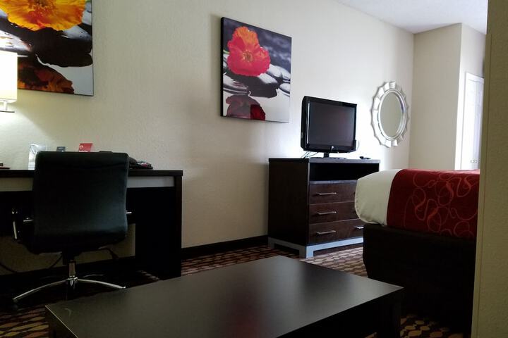 Comfort Suites Northside Hospital Gwinnett