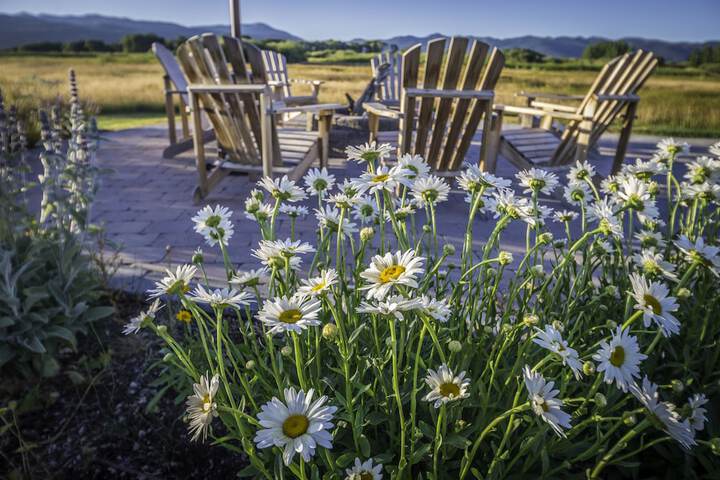 Sundeck 84 of 87