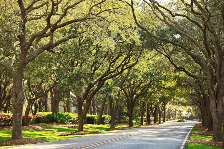The Westin Hilton Head Island Resort & Spa
