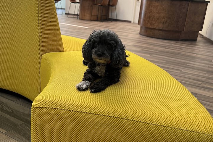 Pet Friendly 31 of 33