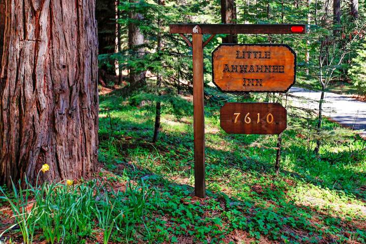 Yosemite Scenic Wonders - Fish Camp Area