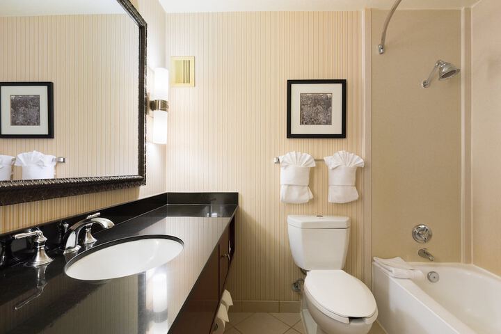 Holiday Inn Sacramento Downtown-Arena by IHG