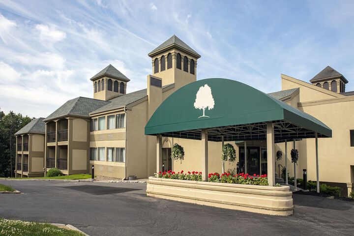 Hotel 4 of 63