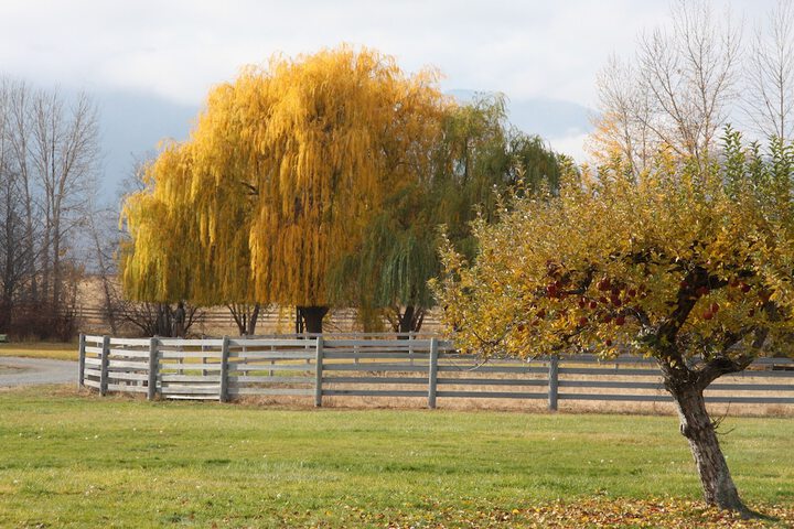 Casia Lodge and Ranch