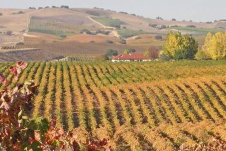 Vina Robles Guest 4 Br Home by RedAwning