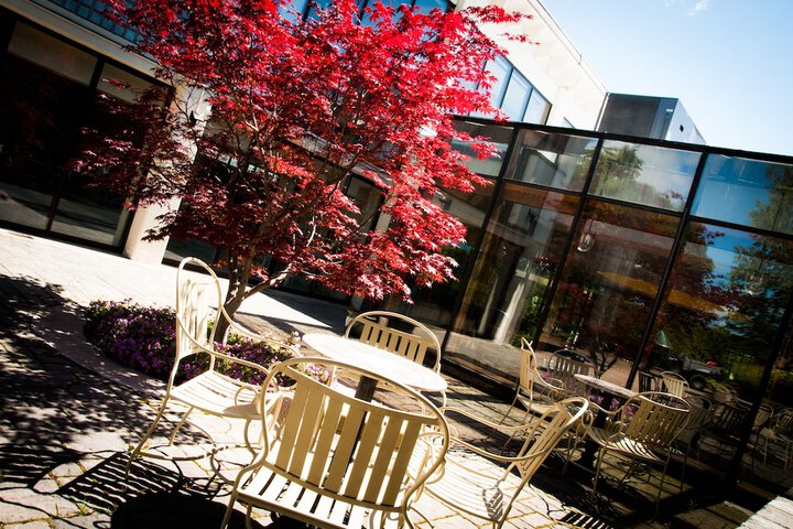 Terrace/Patio 27 of 31