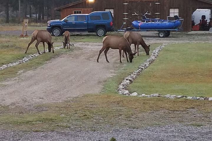 The Wild Game Inn