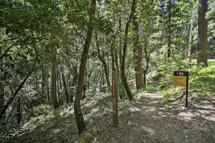 Mountain Homestead: Swim Hike, & Camp On-site!