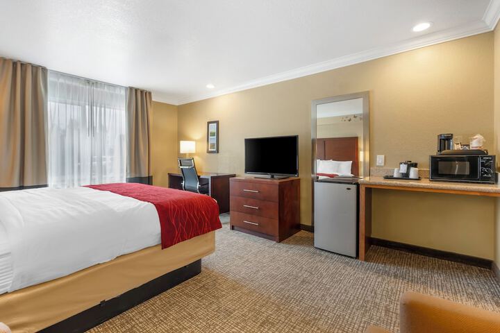 Room 13 of 42