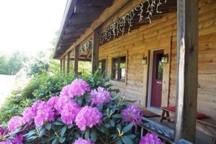Mountain Horse Farm
