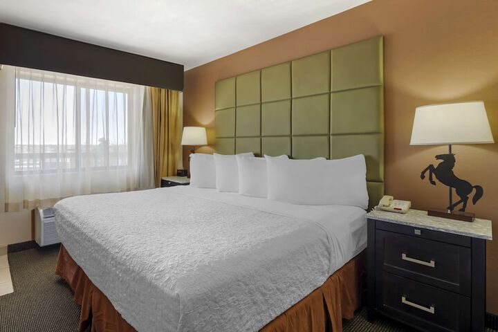 Room 31 of 41