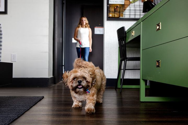 Pet Friendly 53 of 54
