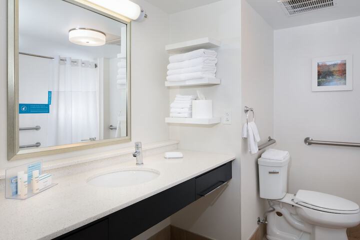 Hampton Inn Charleston-Southridge