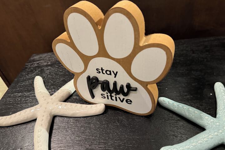 Pet Friendly 201 of 206
