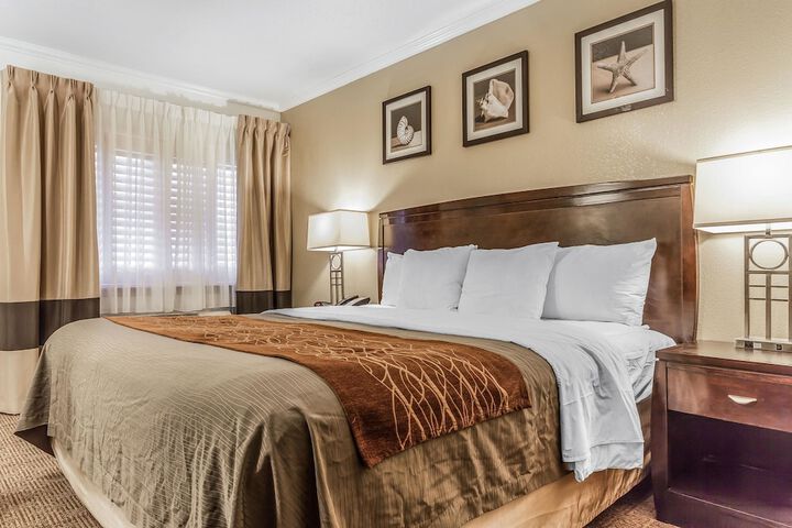 Room 40 of 65
