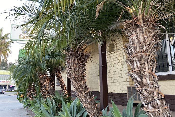 El Patio Inn - Near Universal Studios Hollywood