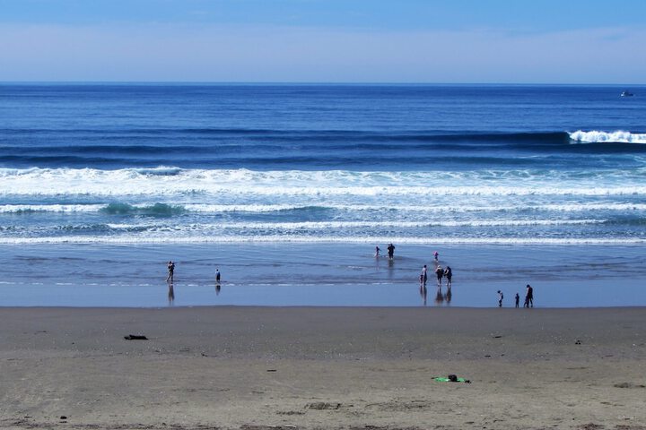 Driftwood Shores Resort & Conference Center