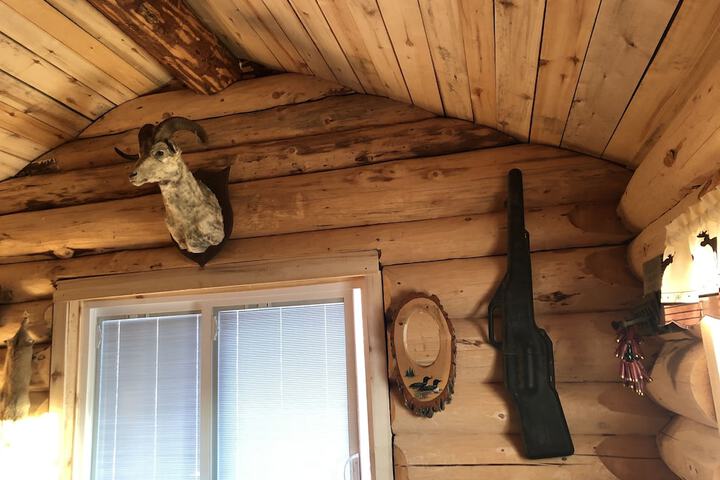 Wrangell Mountain Lodge