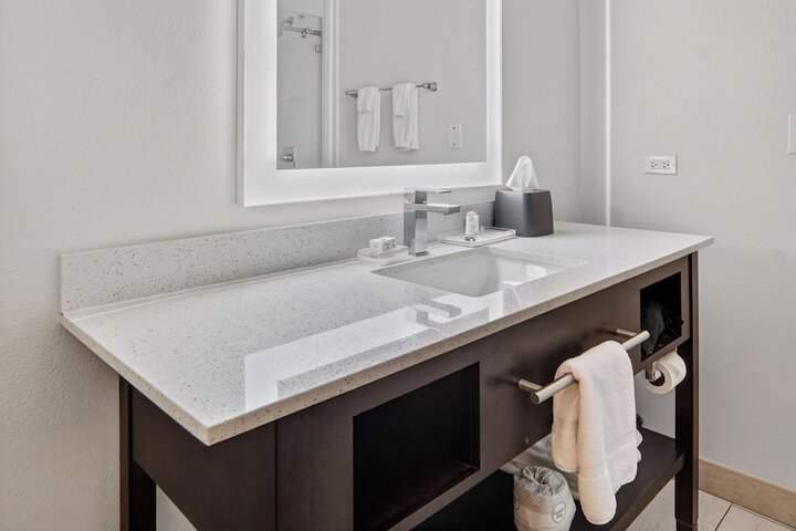 Holiday Inn & Suites Dallas-Addison by IHG