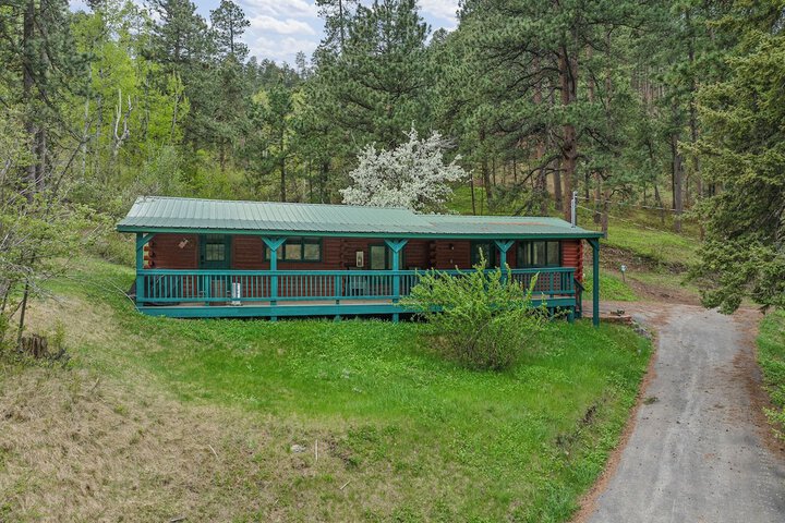 Ponderosa Pines