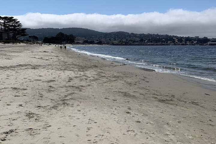 8 of 25
