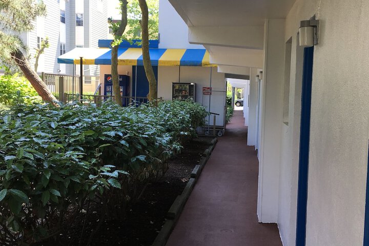 Hotel 5 of 33