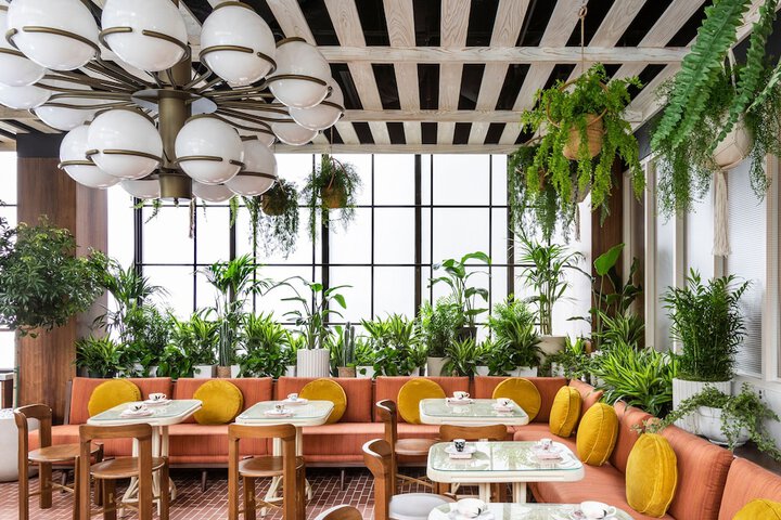 C. Baldwin Curio Collection by Hilton