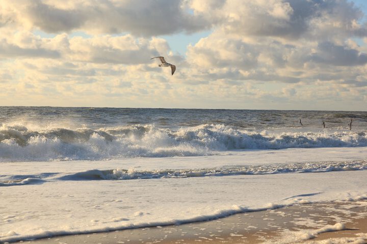 Beach 75 of 77
