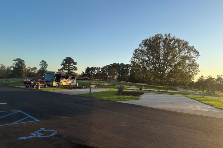 Carolina Camp Cedar