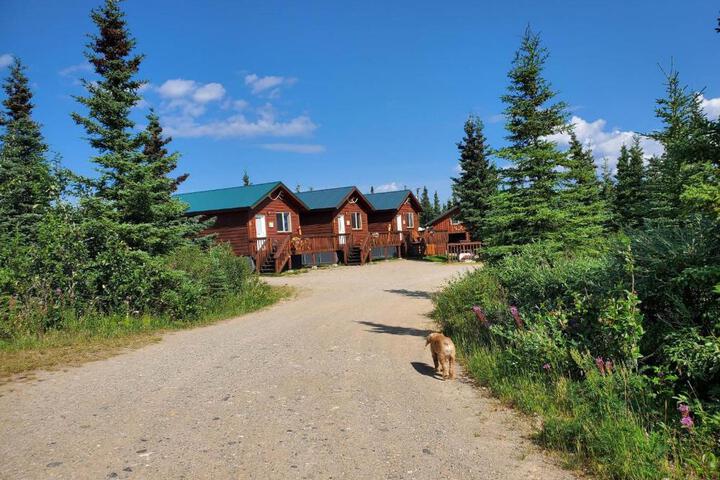 Denalis Alaskan Spruce Cabins