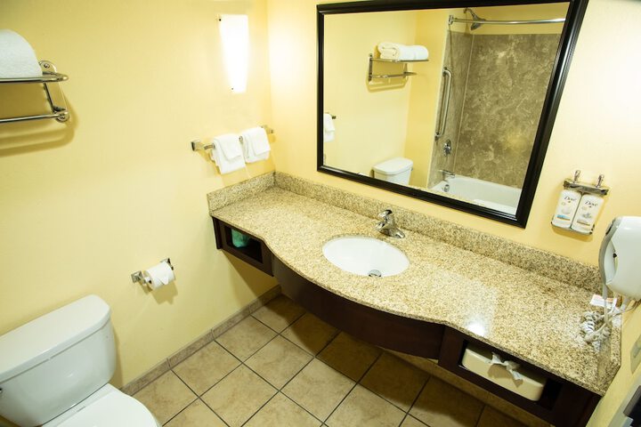 Holiday Inn Express Hotel & Suites Harrisburg West by IHG