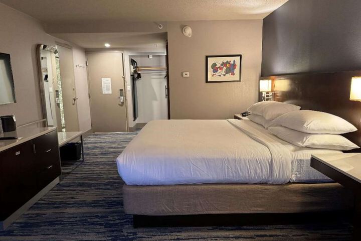 Skyline Hotel Detroit Airport SureStay Collection by BW