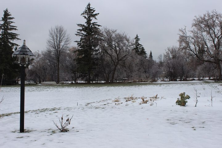 Property Grounds 51 of 51